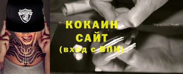 эйфоретик Арсеньев